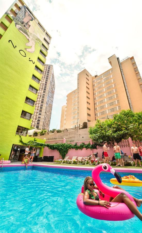 Now Benidorm Appartement Buitenkant foto